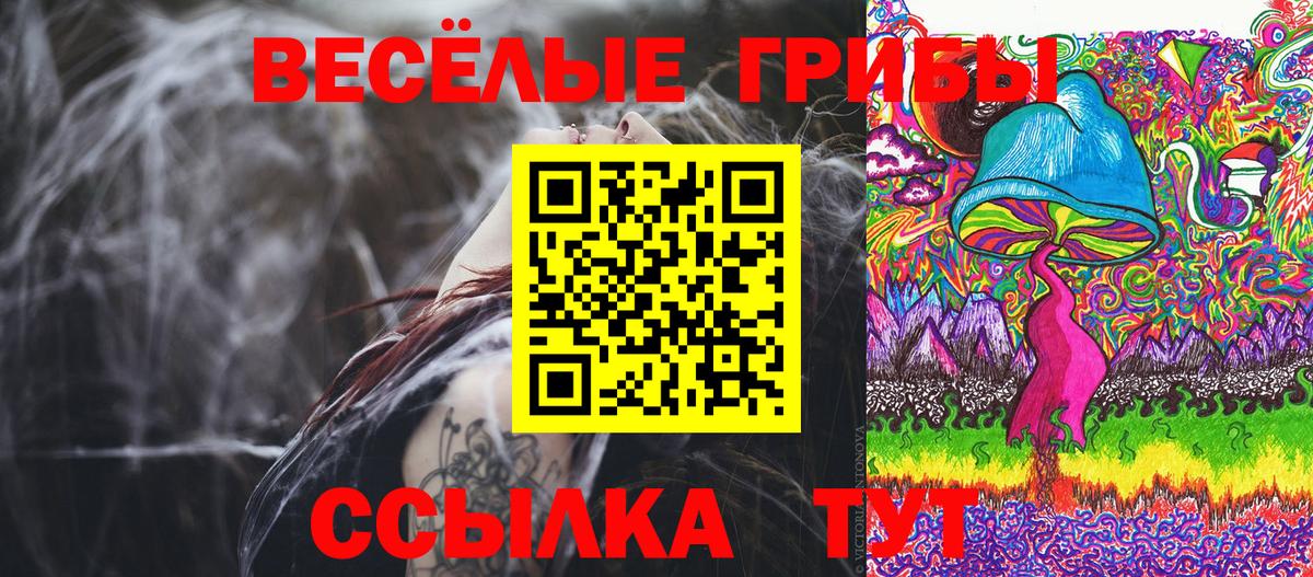 Борзя  где найти наркотики  Вход с VPN  Галлюциногенные грибы Magic Shrooms 